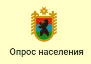 Оцените эффективность деятельности руководителей органов местного самоуправления